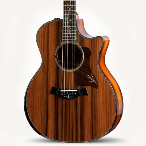 アコースティックギター | Taylor Guitars